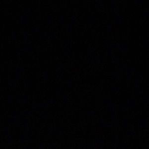 Meet your Posher, Will